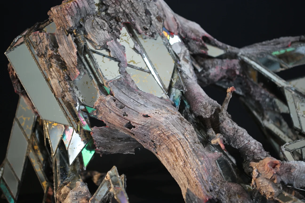 Roots-trunk detail.JPG