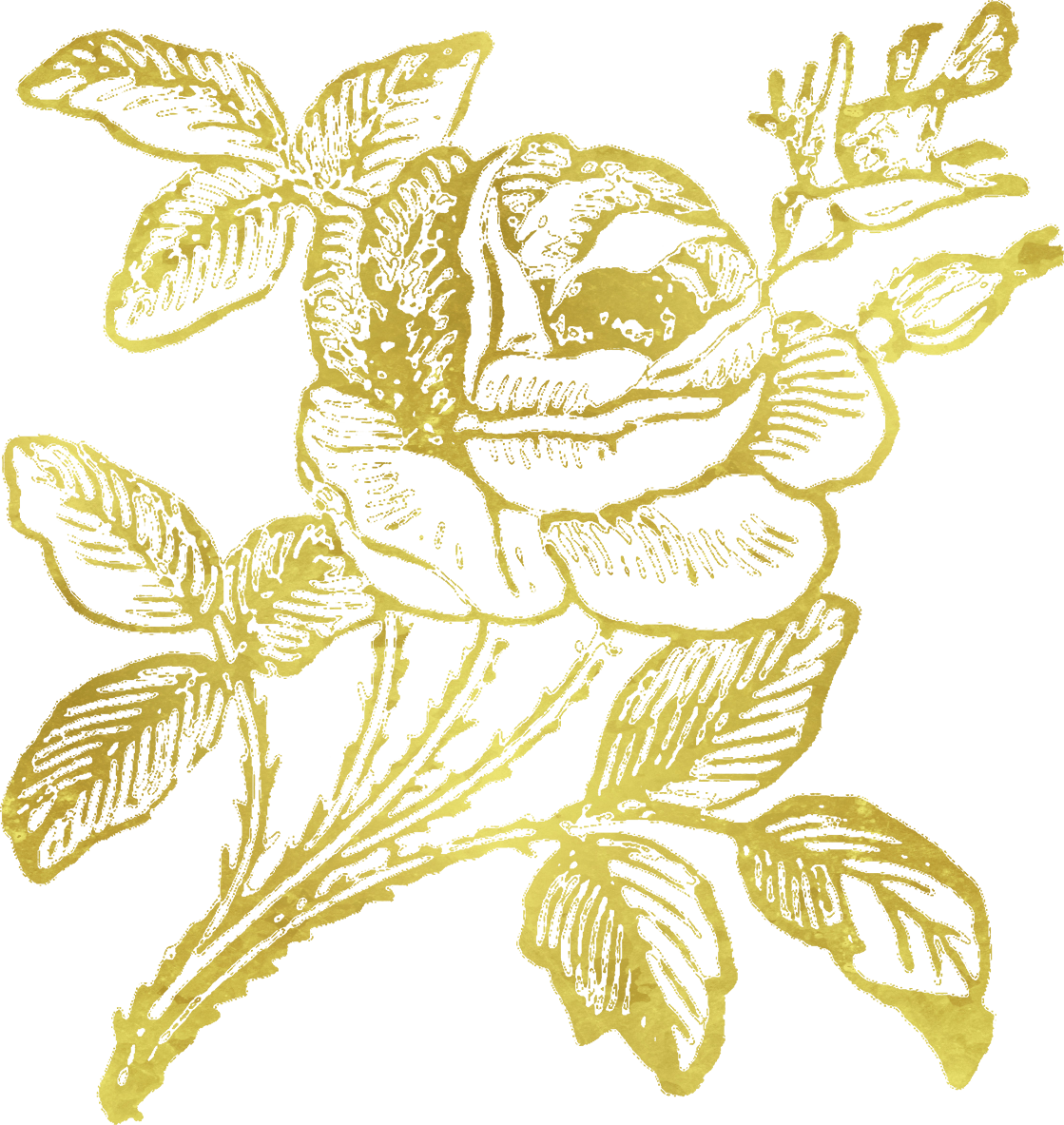 Rose Gold Background Png