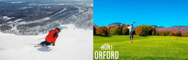 Nouveaux avantages VIP! 