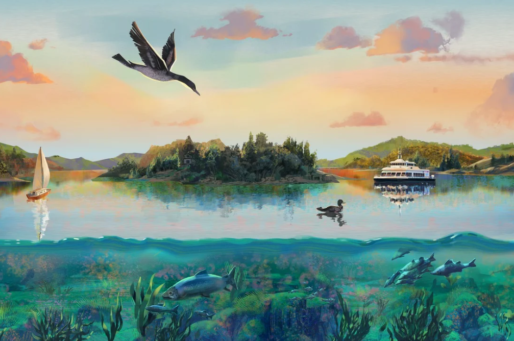 Une grande nouveauté pour le Grand Cru!