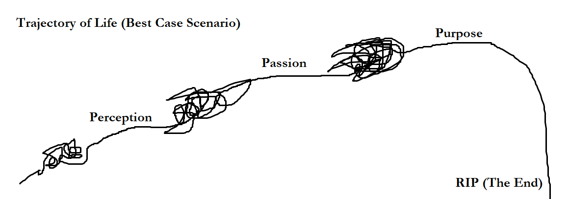 purpose, passion perception.png