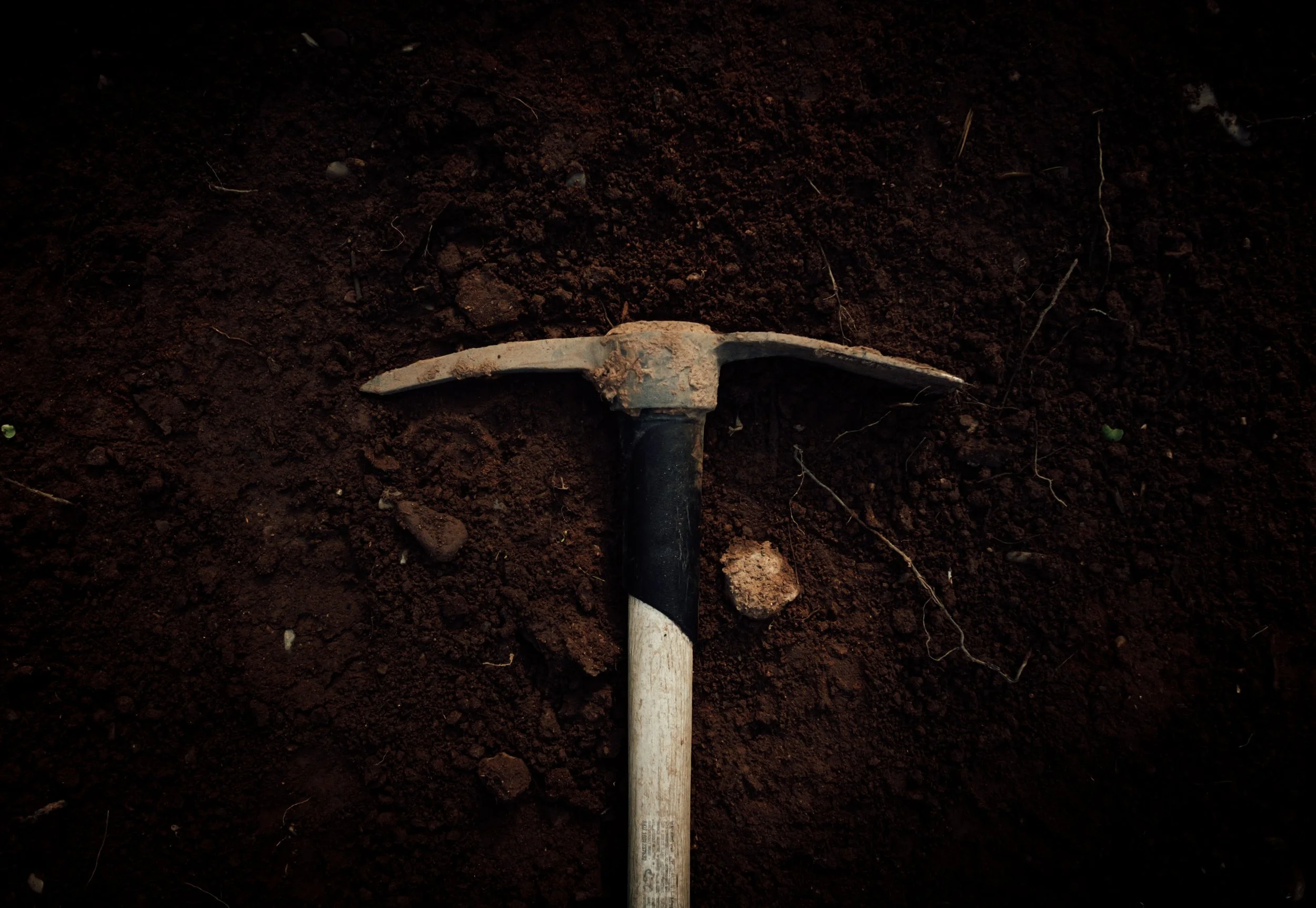 The Range of Slavery to Freedom