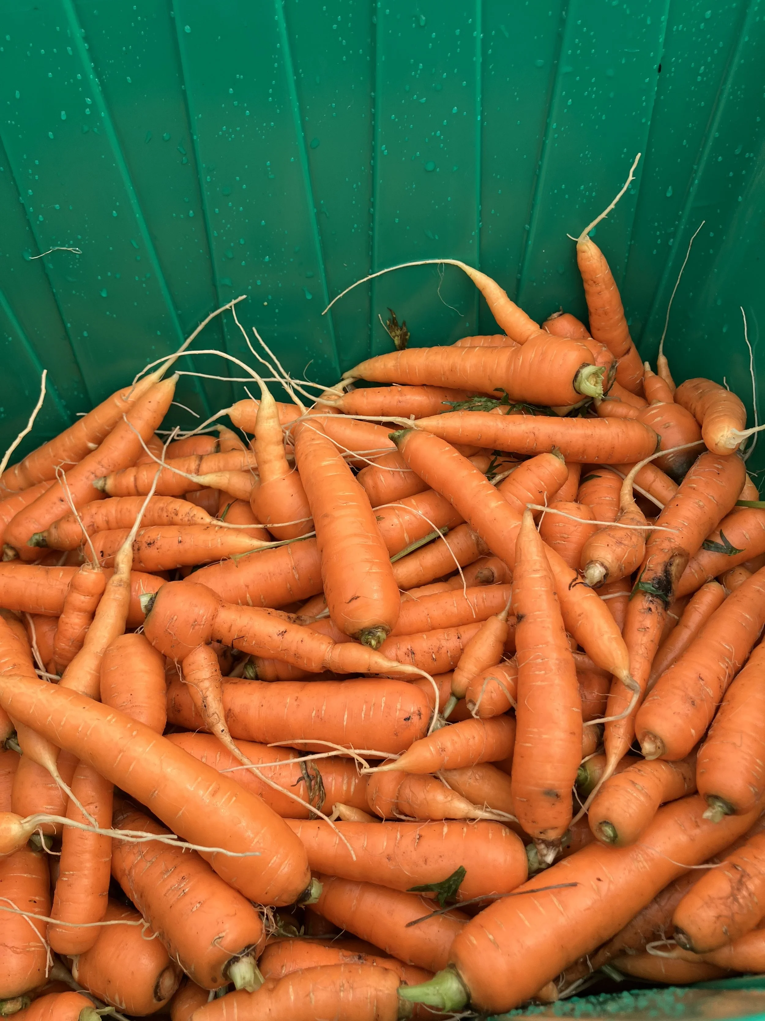 Lynn Winter Farmer's Market !