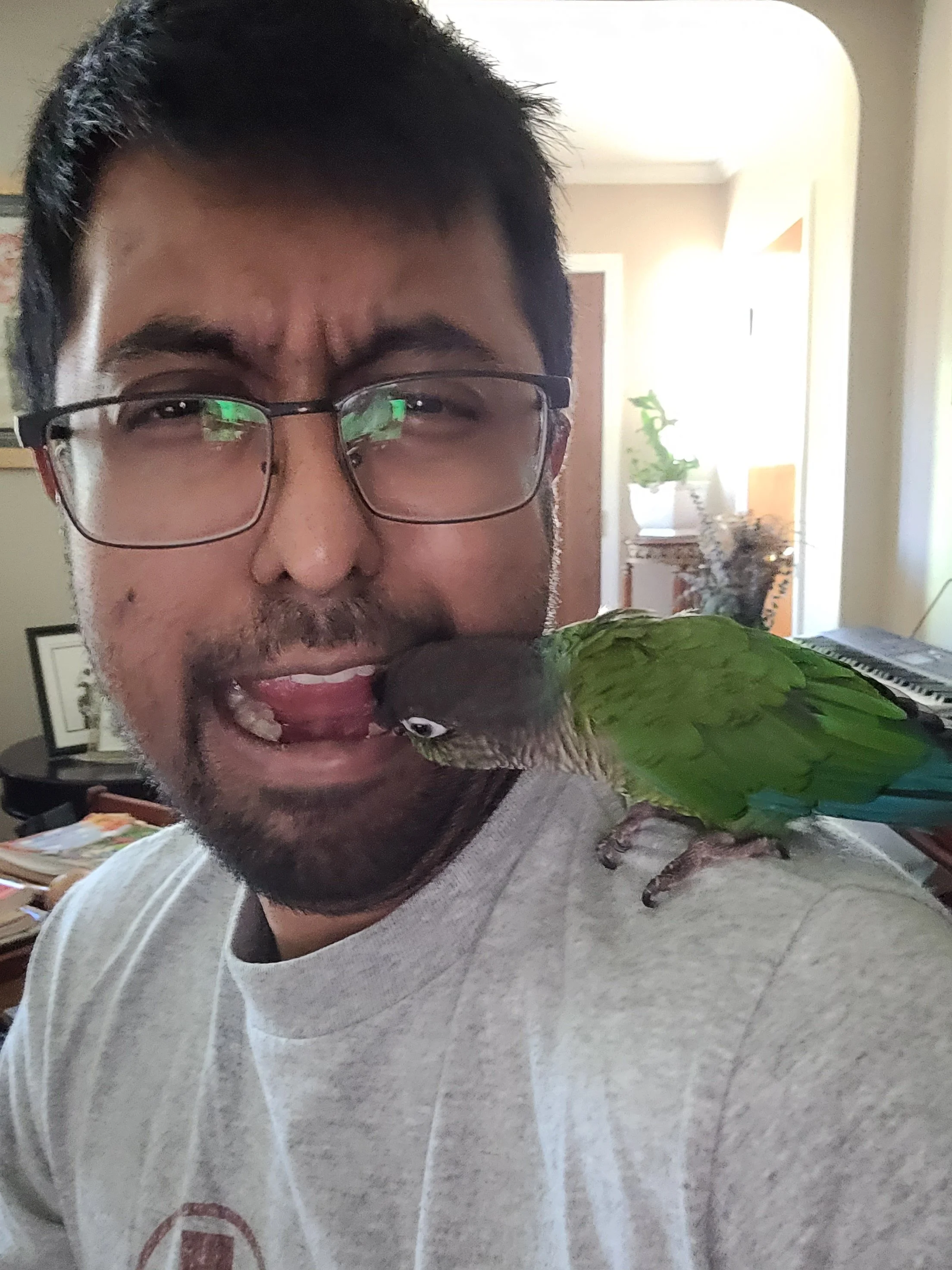 Intern Amar Singh - Week 4