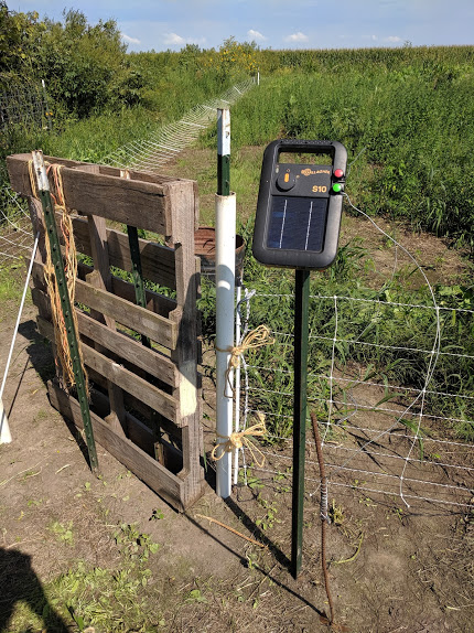 Pictured: pallet gate, our go-to little solar fencer. Not pictured: the “foot” but I think you all know what a bucket lid looks like, so.