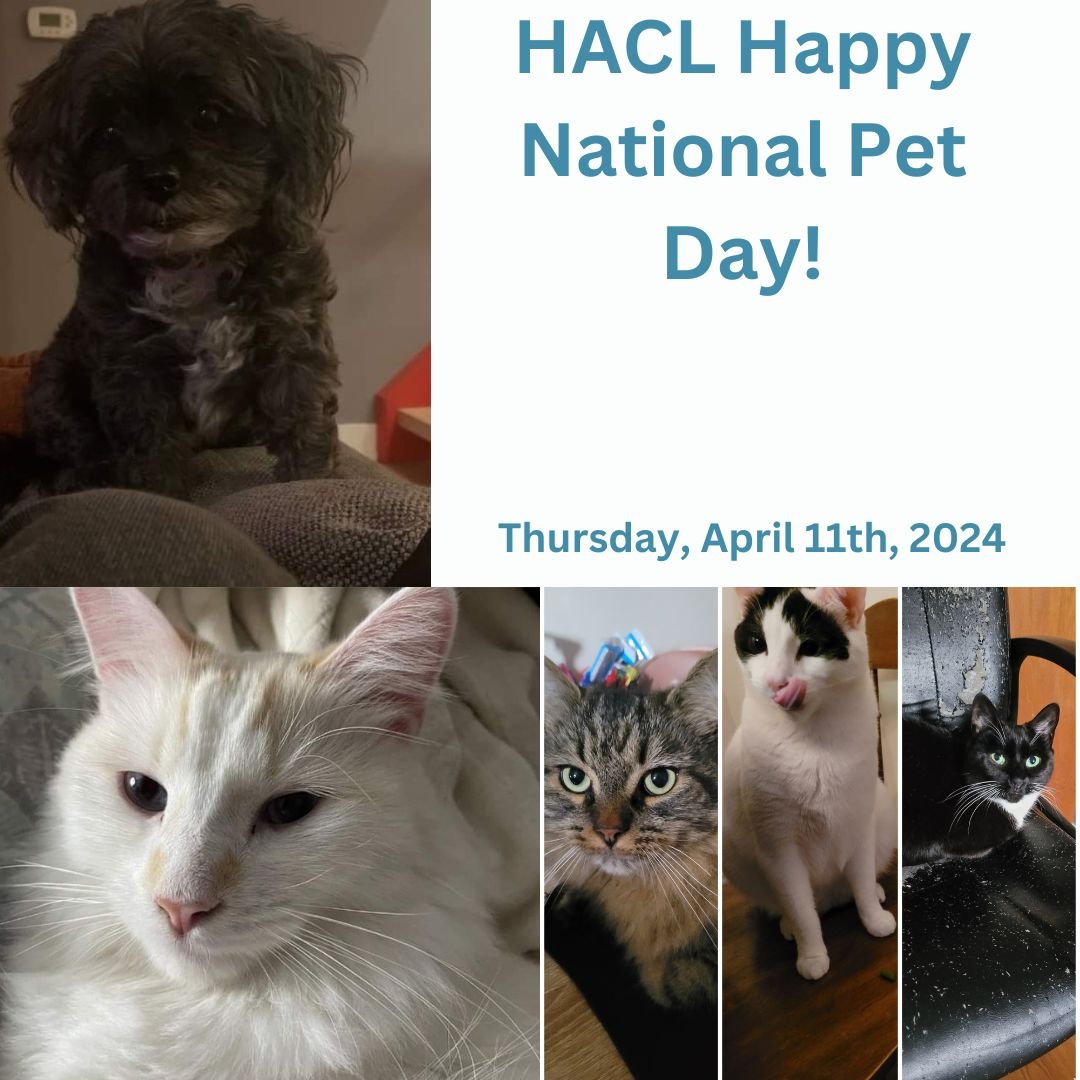 Halifax Association for Community Living is celebrating National Pet Day on Thursday, April 11th, 2024. Here are some pictures of the HACL team members' pets. We would love you guys to fill the comments section with pictures of your pets. We would lo