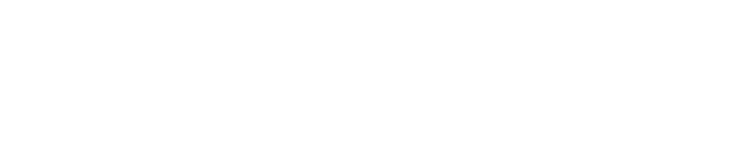 Logo White.png