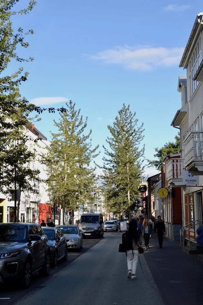 Laugavegur, Reykjavik's main street