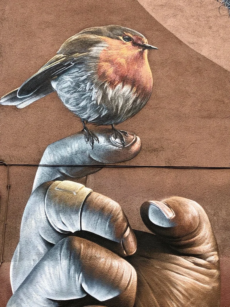 Along the City Centre Mural Trail