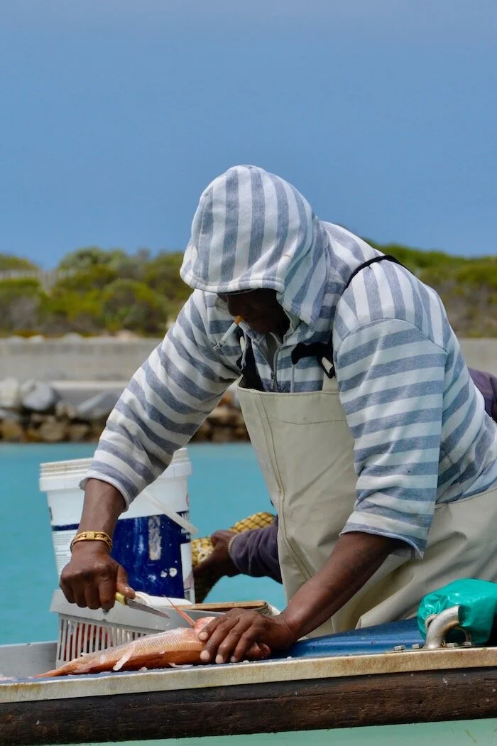 Preparing the catch