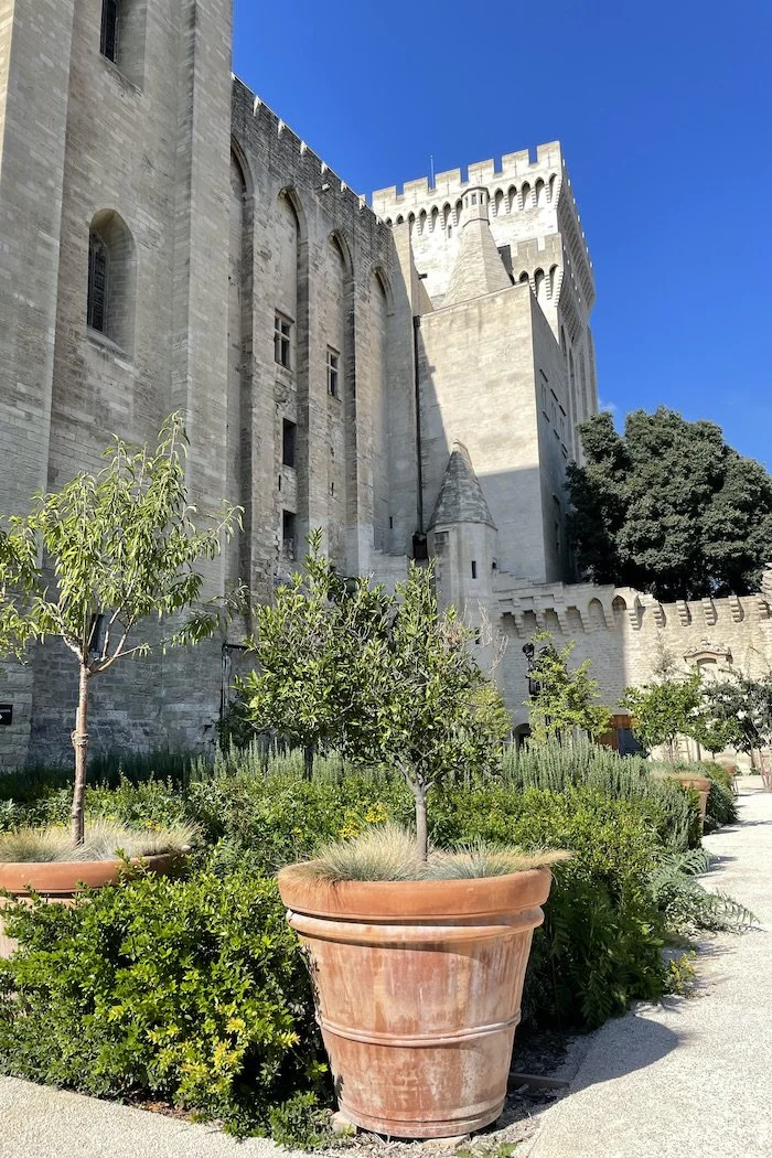 The Papal Palace gardens