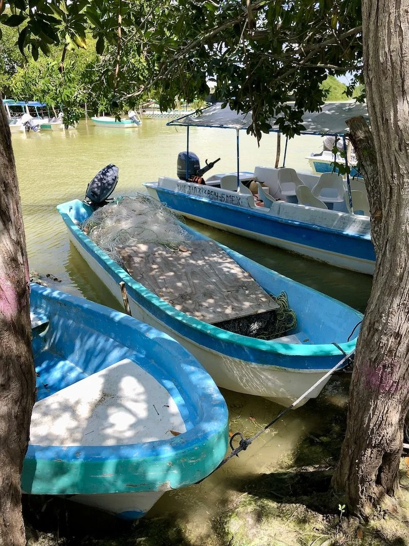 Fishing and tour boats at Celestún