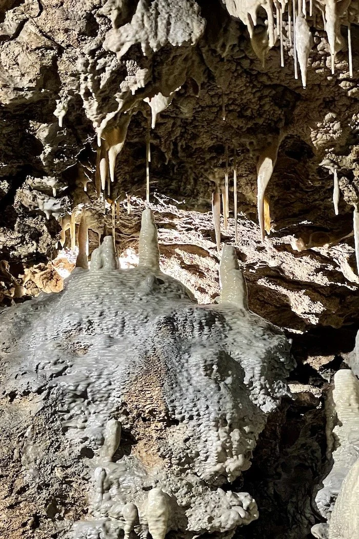 Inside Linnaeus' Cave