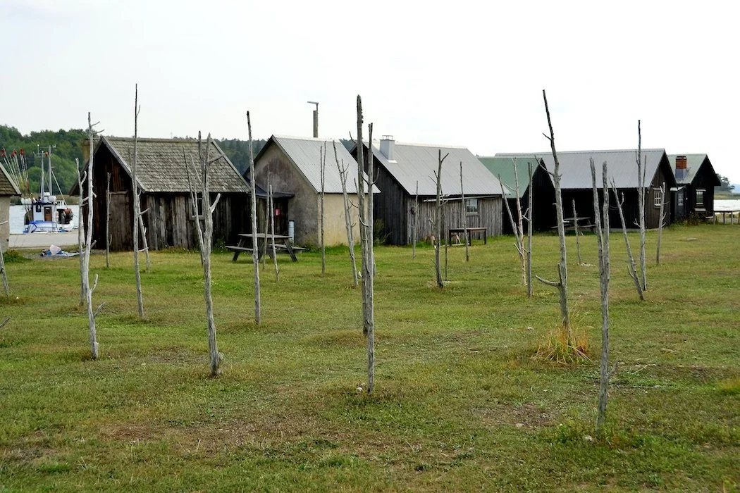 Fisherman's cottages and net drying stakes