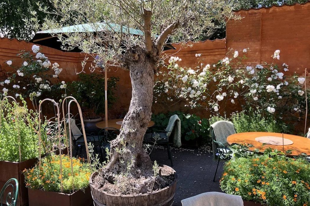 Fredericksberg café dining