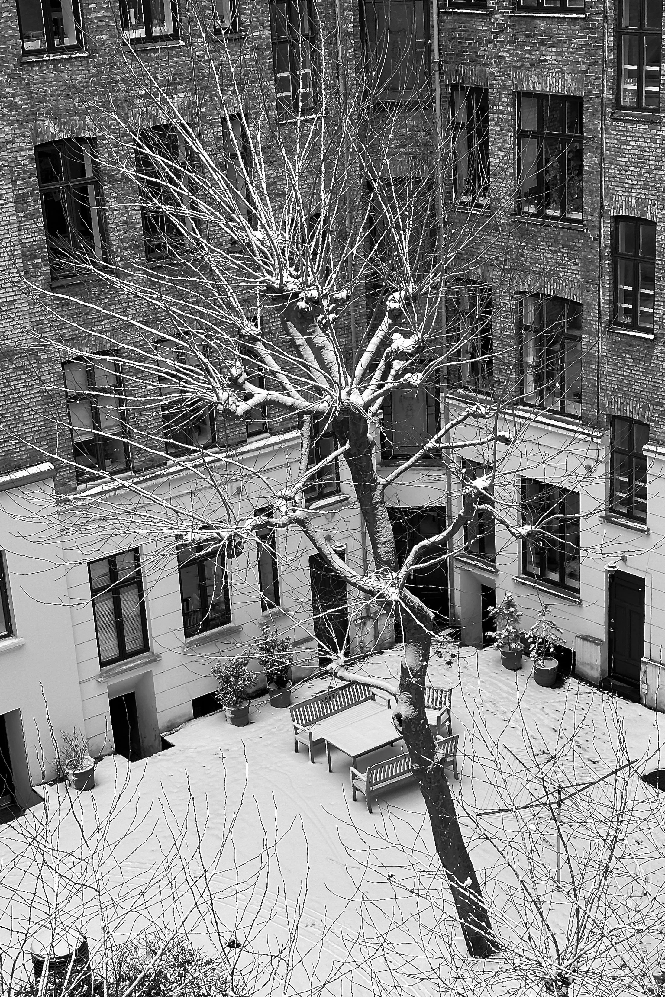Black and White courtyard snowscape Copenhagen Denmark