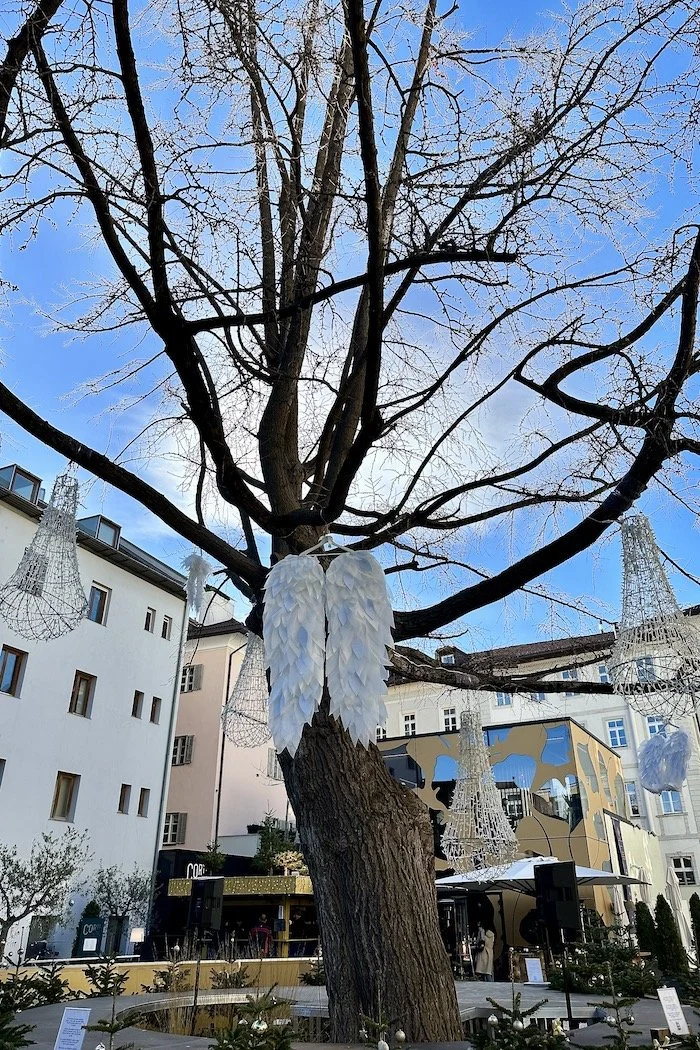 Gingko tree decorated for winter
