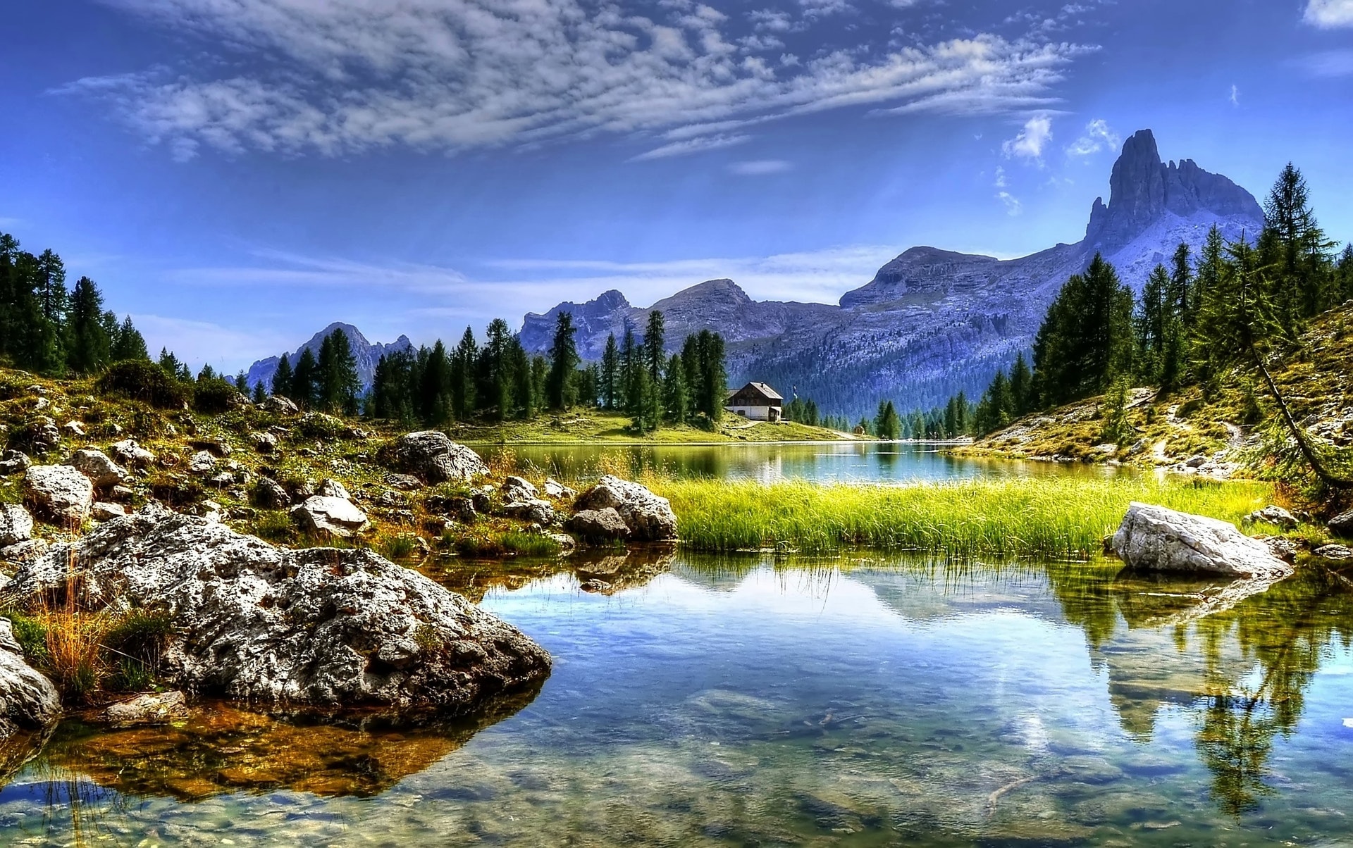 montain-view.jpeg
