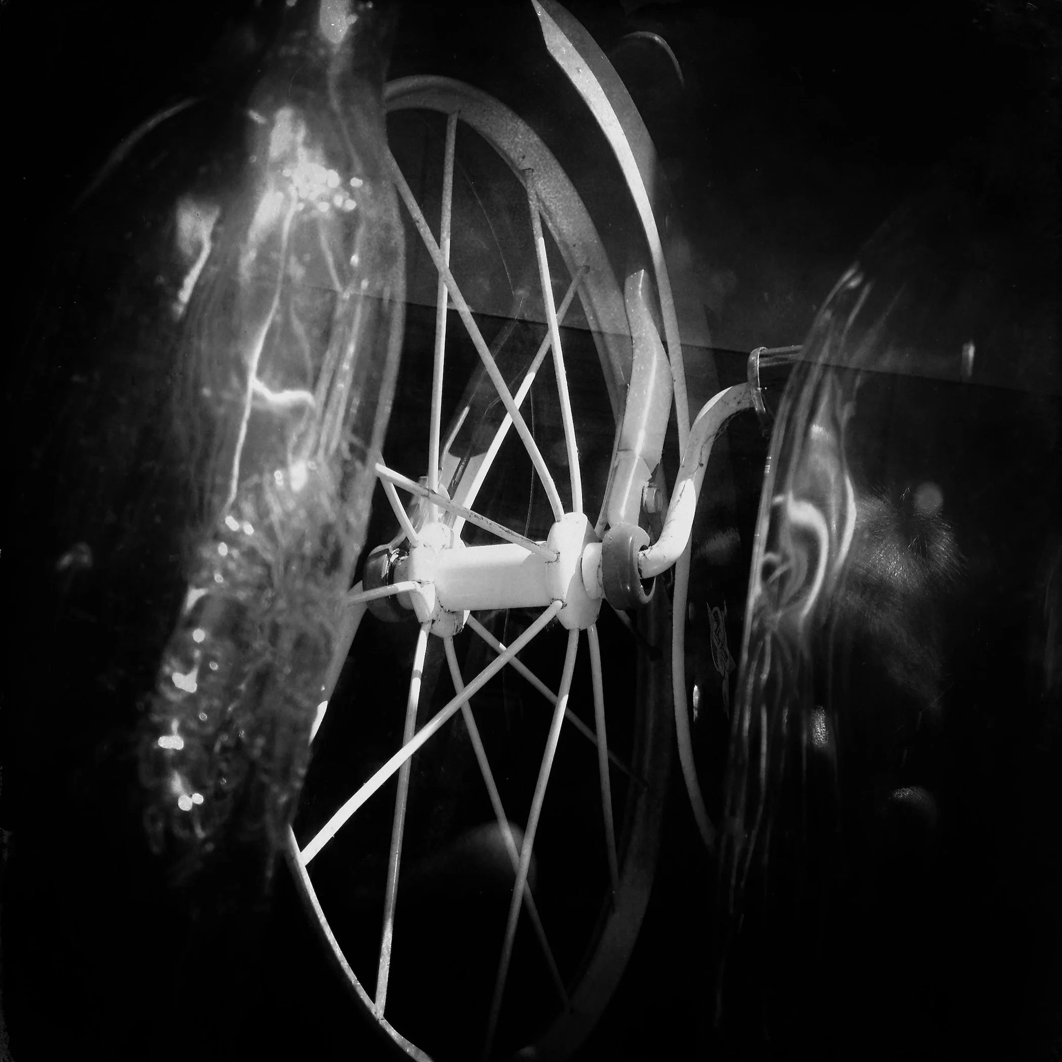 Geneva Brinton 3.jpeg