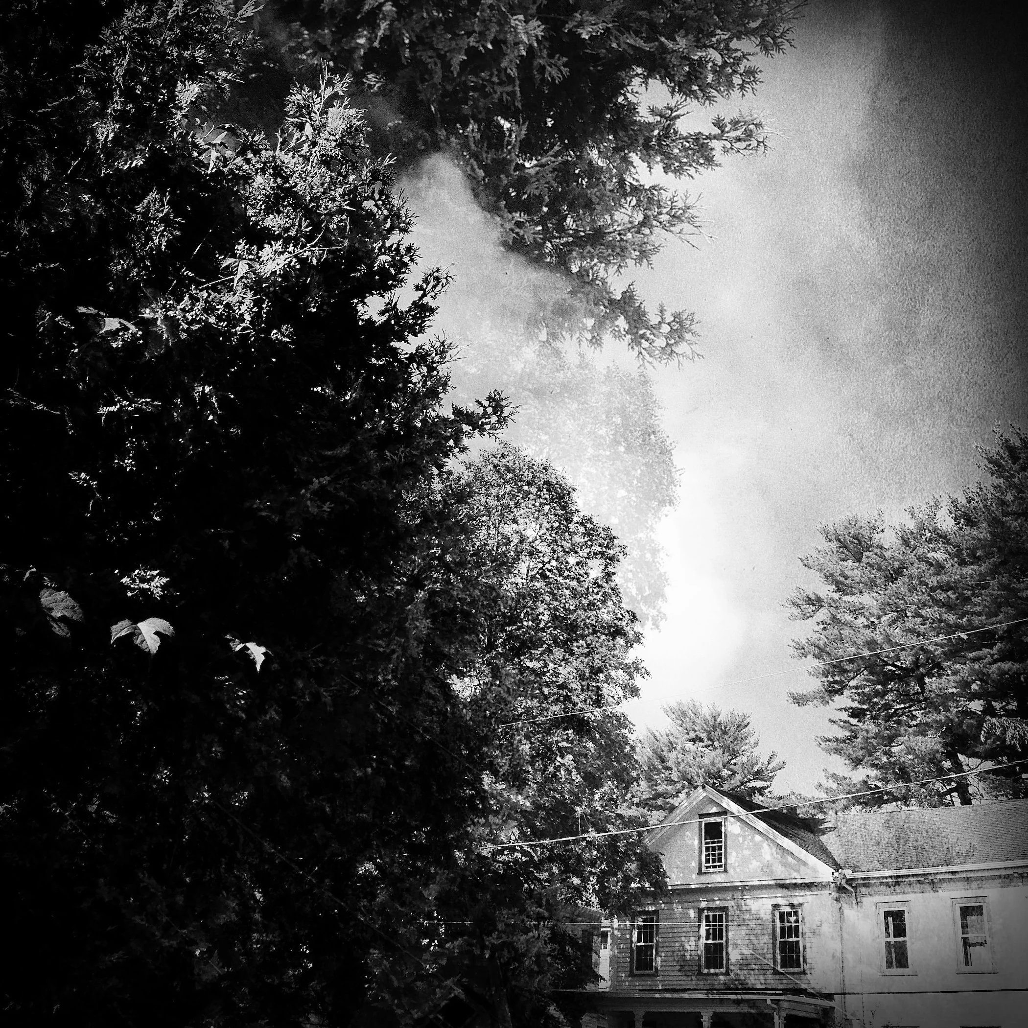 Geneva Brinton 4.jpeg