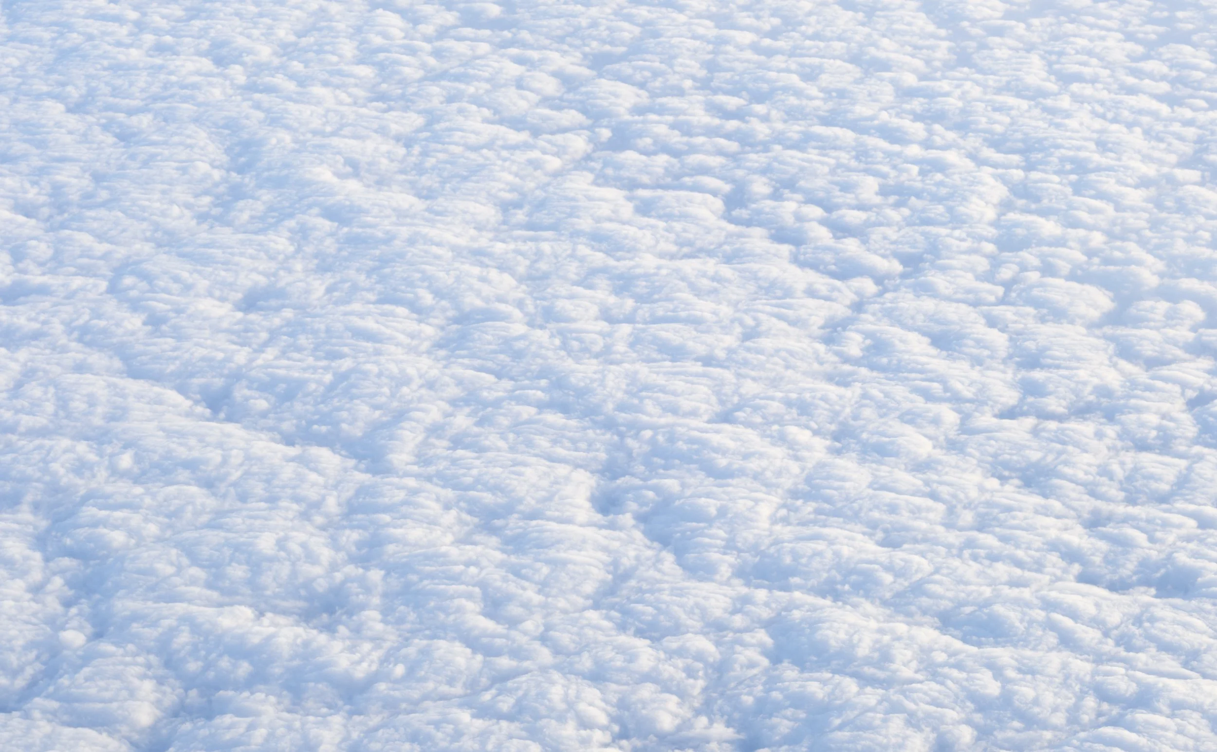  1082x1750mm  Hahnemühle Photo Rag 