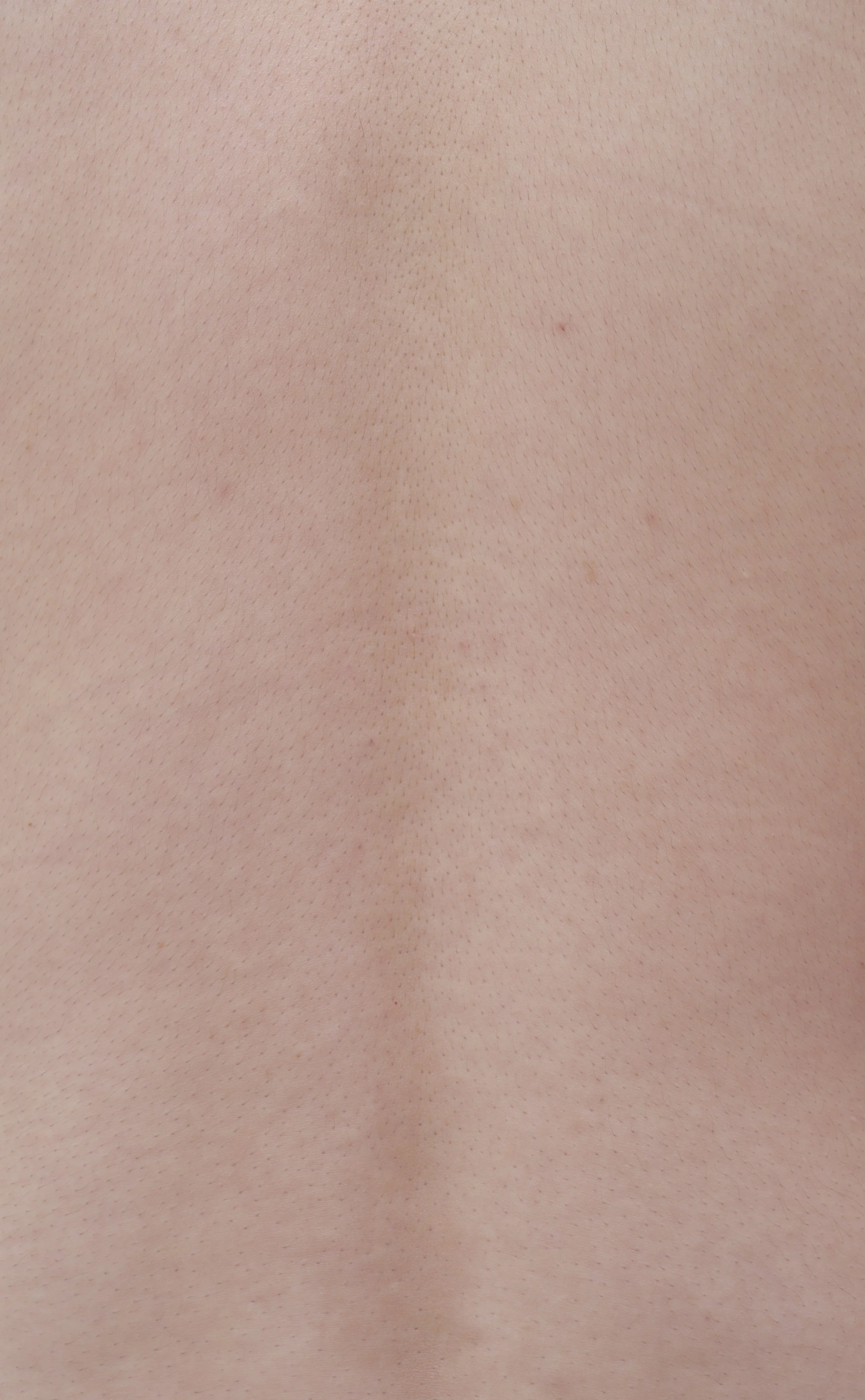  1750x1082mm  Hahnemühle Photo Rag 