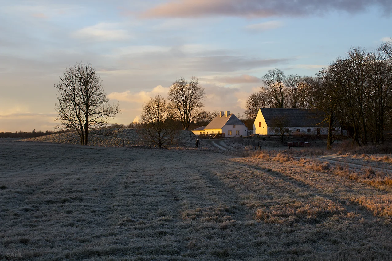 Morgensol.jpg