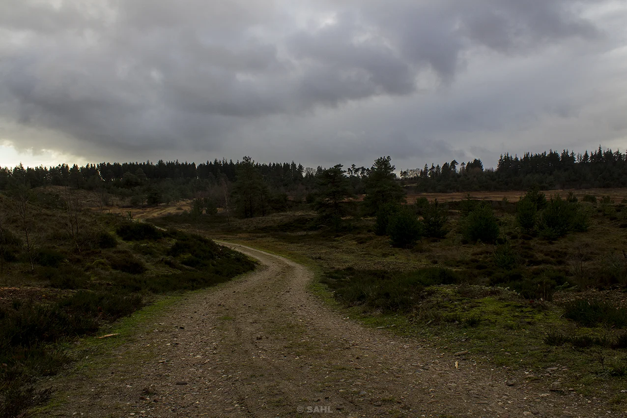 The_Road.jpg