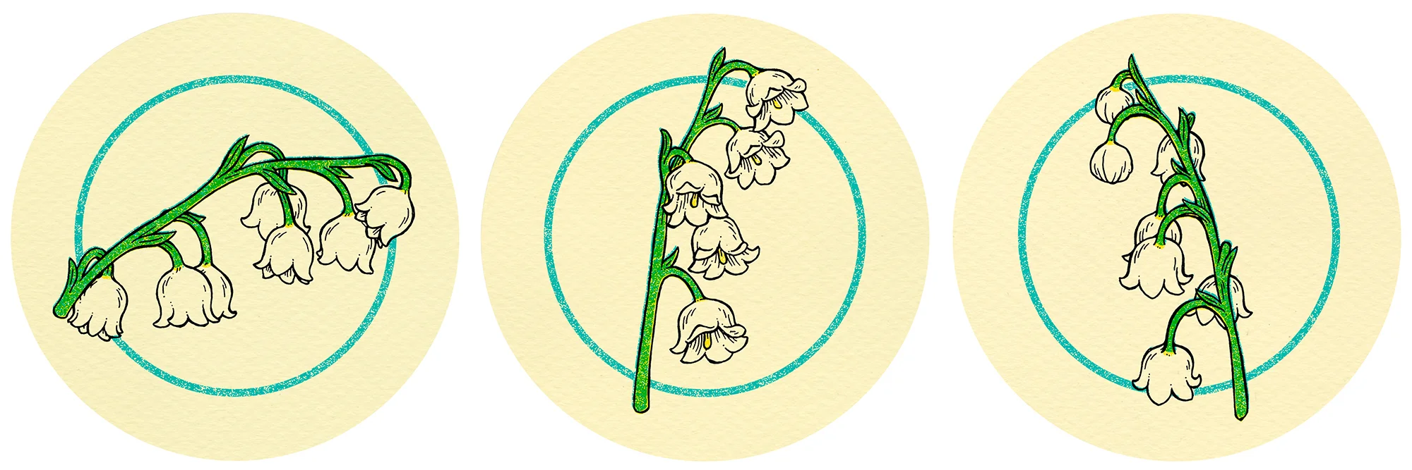 Lily of the Valley