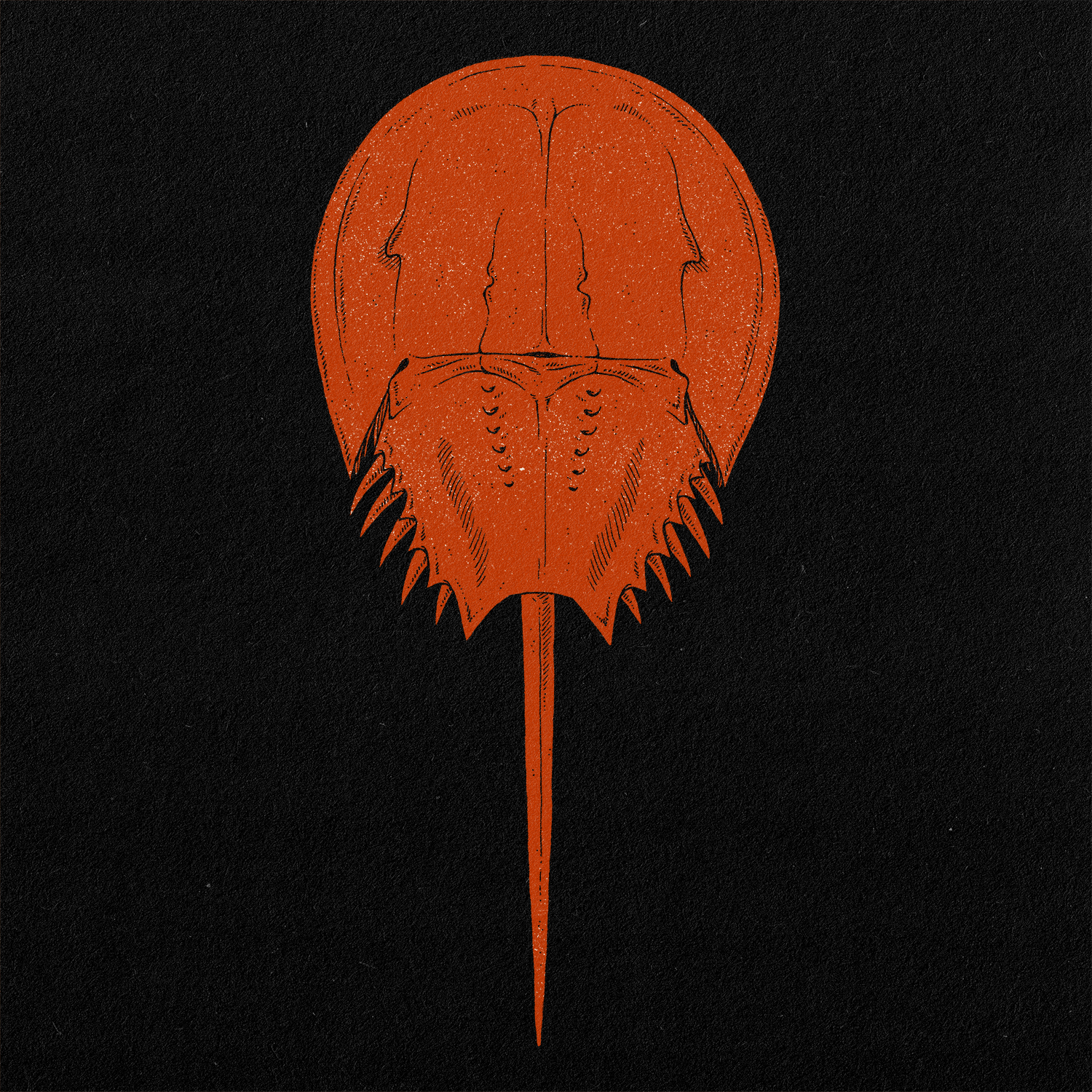 XXII
