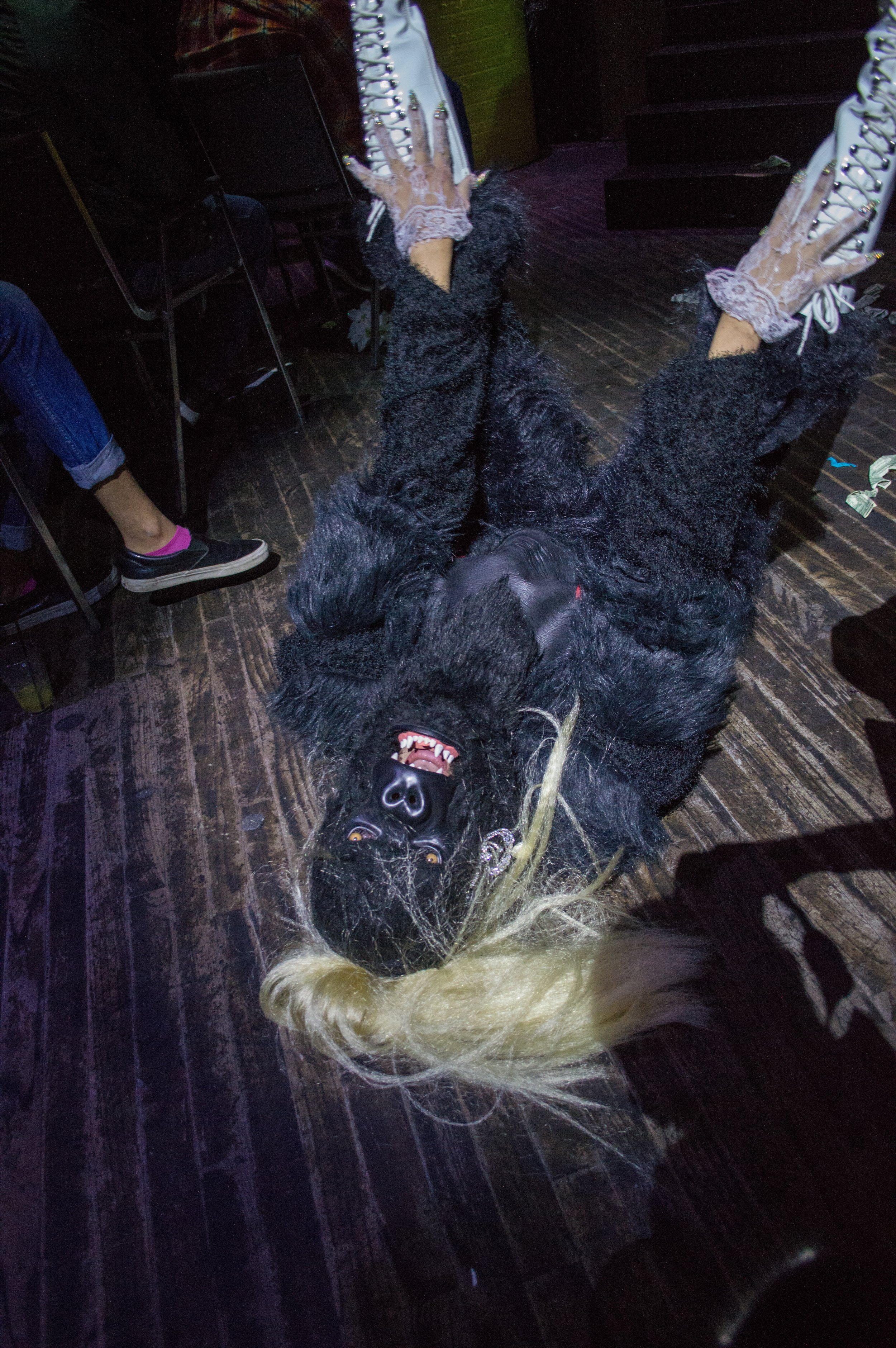 Luna of The Gorrillas.JPG