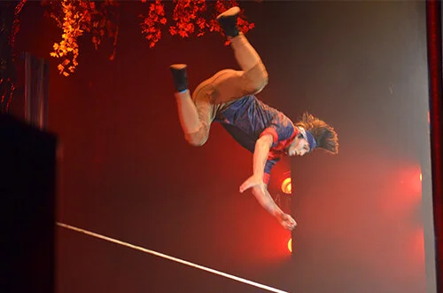 ca-seasonsofcirque2.jpg