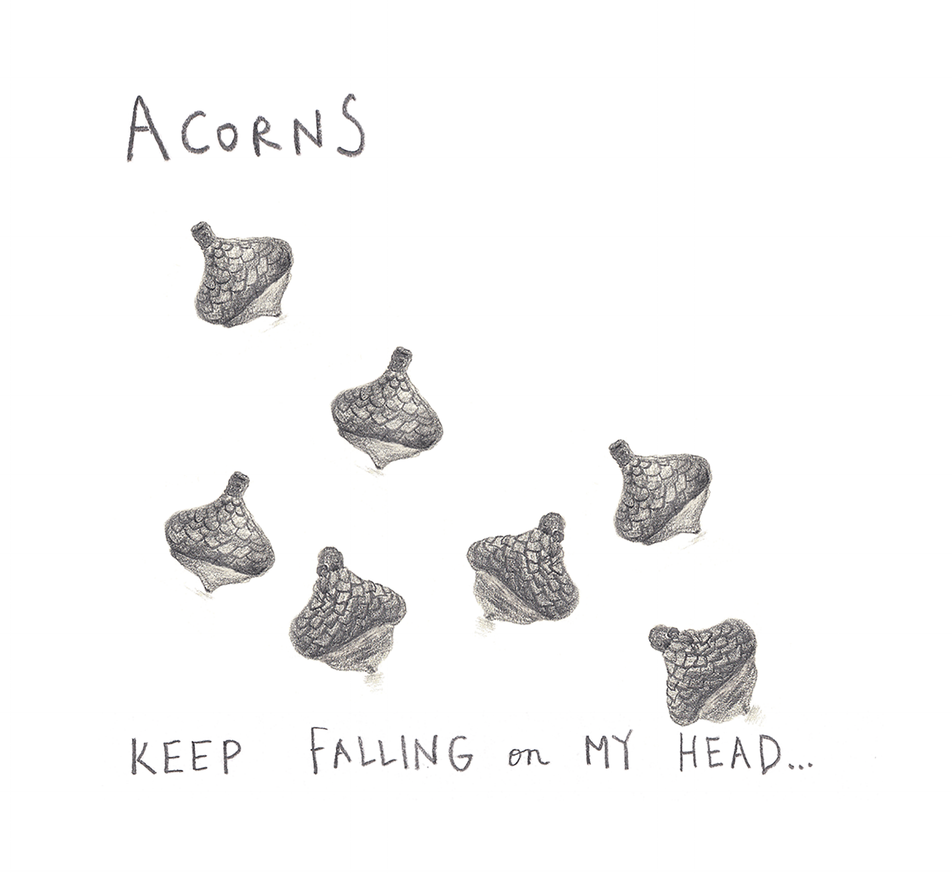 Acorns