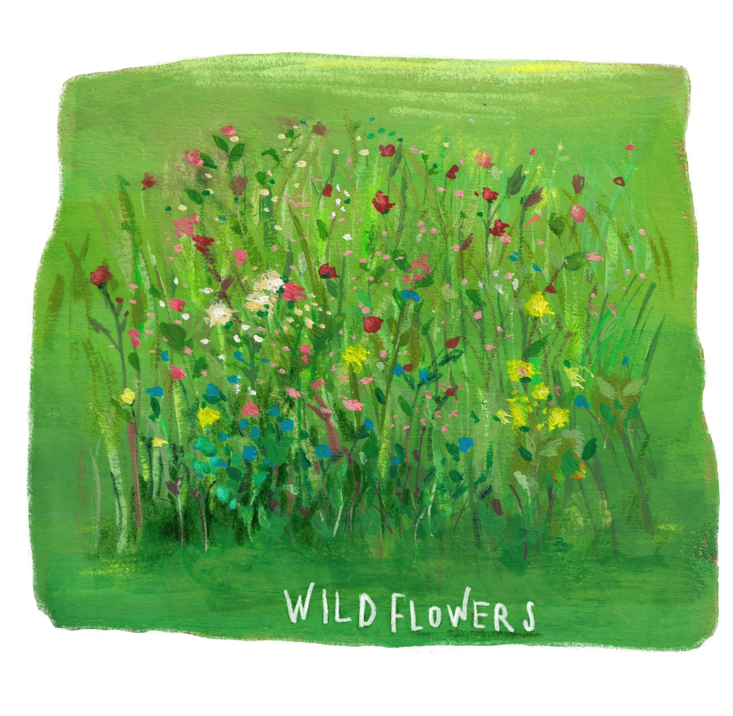 Thinking about softness, overgrowth, and all the little things that insist on blooming anyway, everyday.