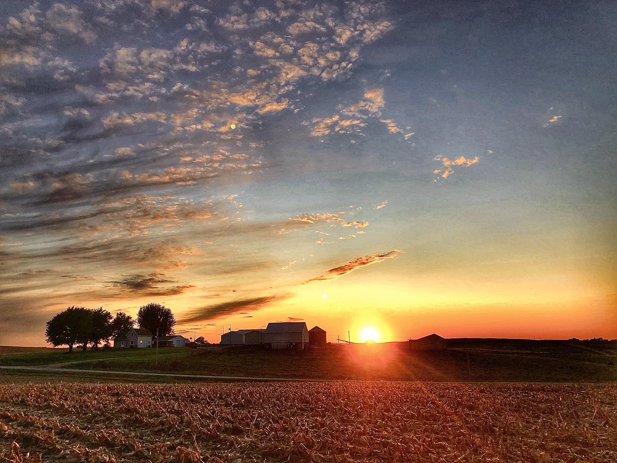 Submitted by Jonah S. (Copy)