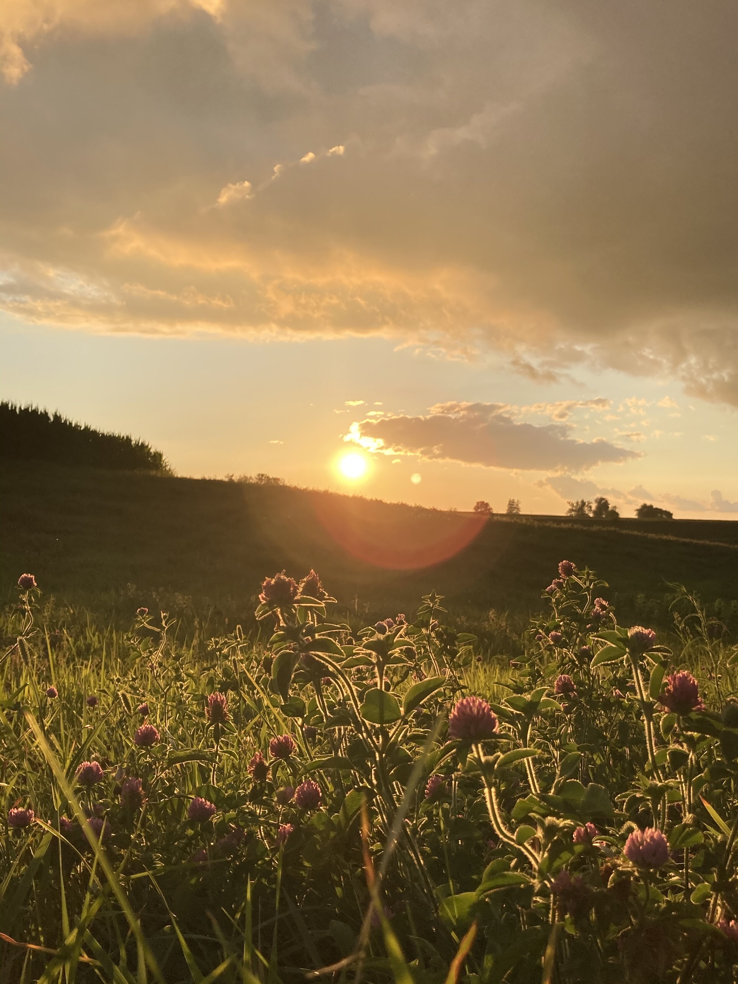 Submitted By Caleb C. (Copy)