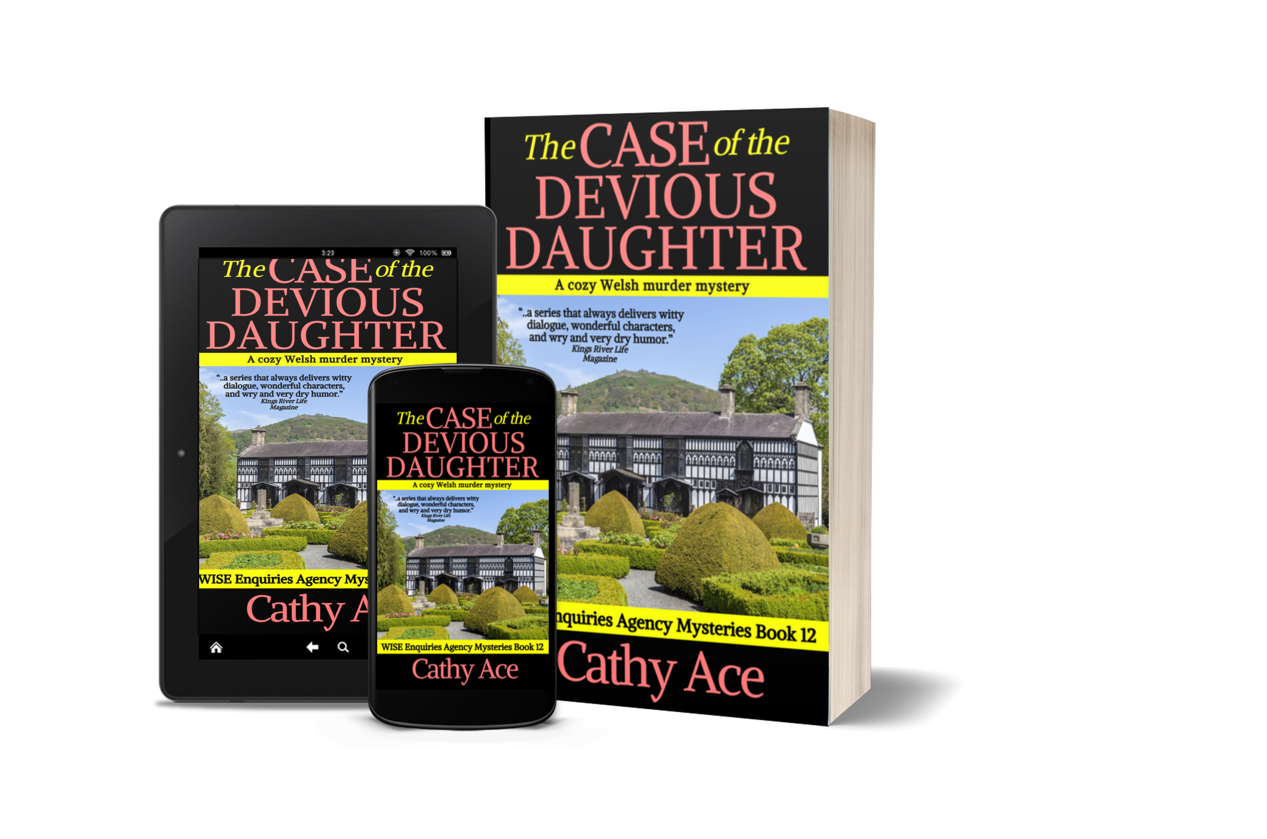 Publication of The Case of the Devious Daughter (WISE Enquiries Agency Mysteries Book 12)