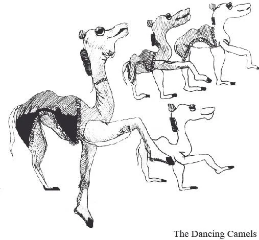camels.jpg