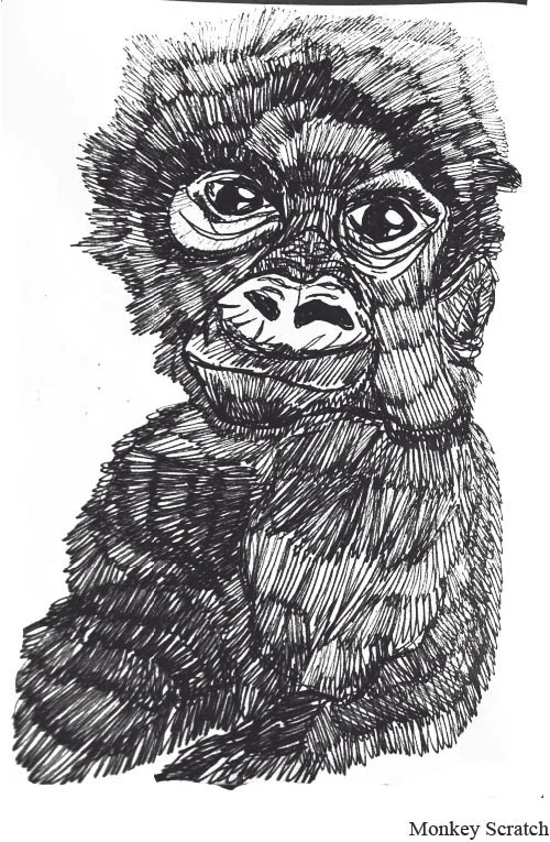 monkey.jpg
