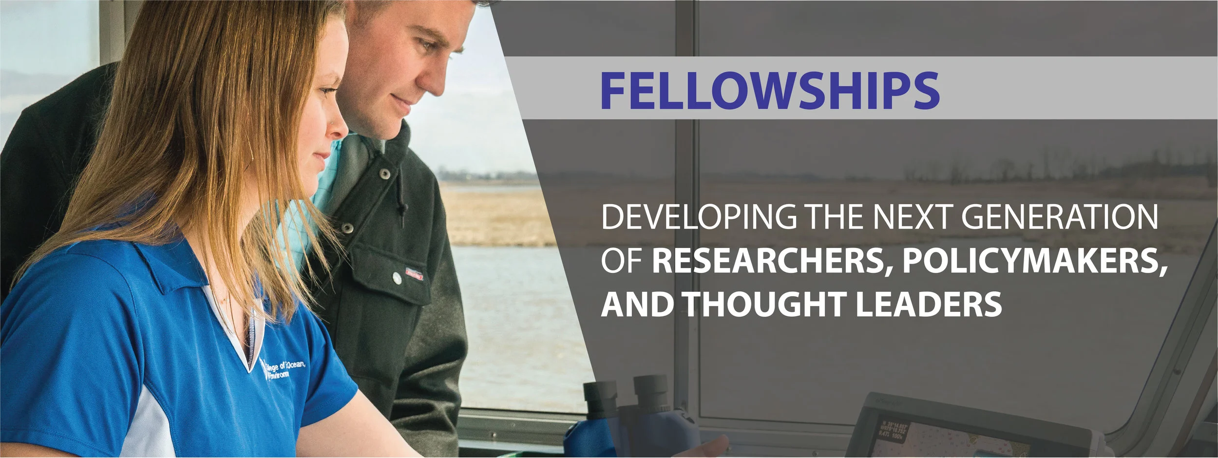 Fellowships Banner.jpg