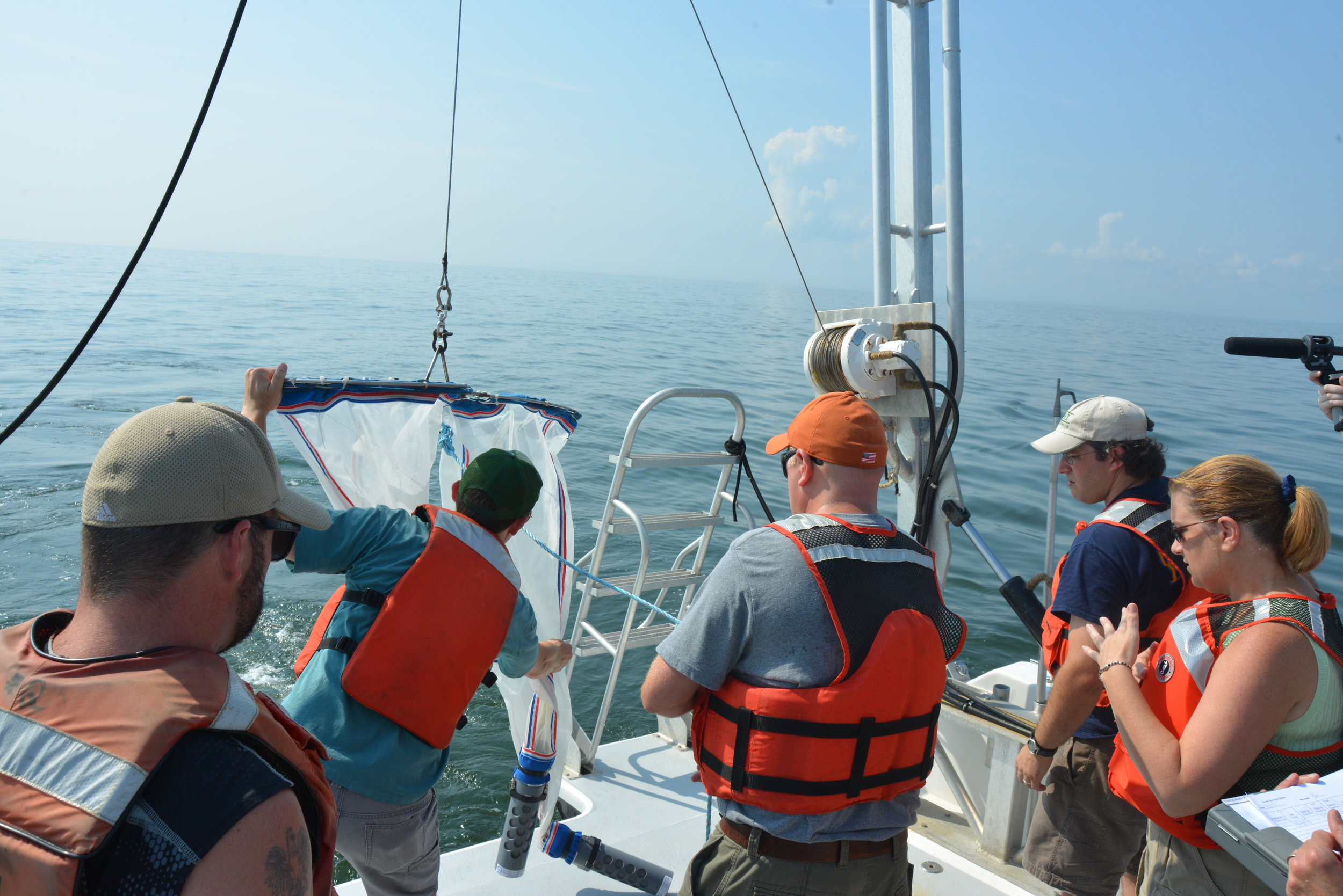 Delaware Bay Zooplankton: Elevating Teacher Understanding