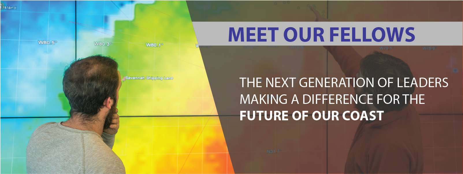 Meet Our Fellows Banner.png