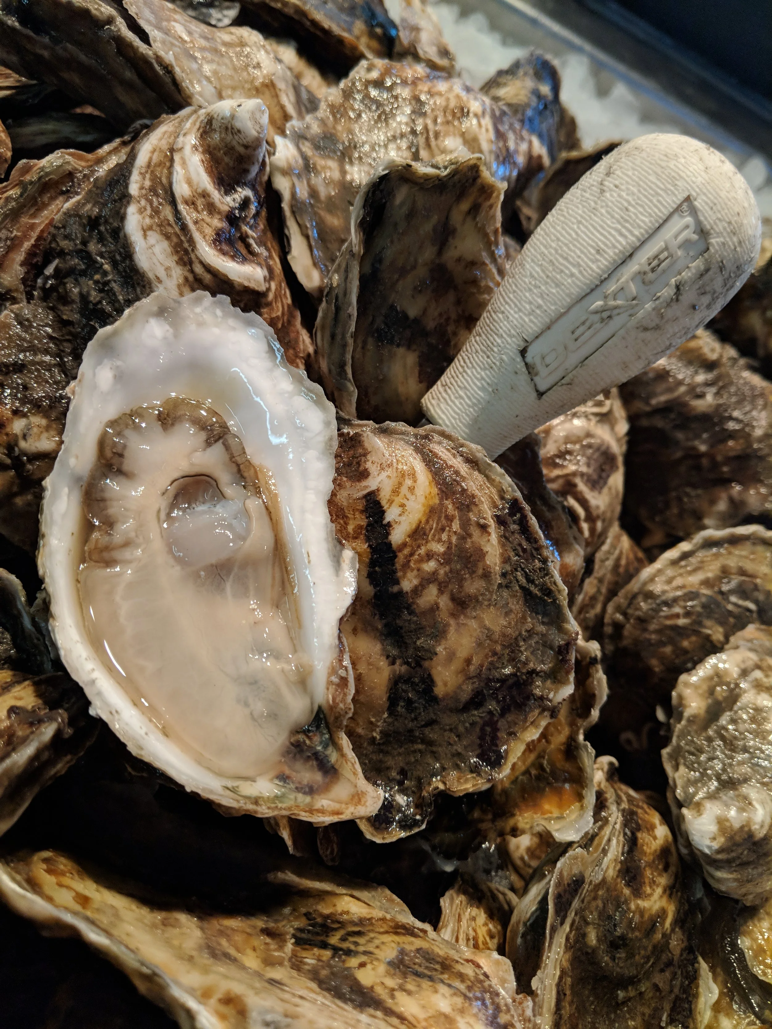 Close-up of first Dewey Beach Selects for Sale at George & Sons.jpg