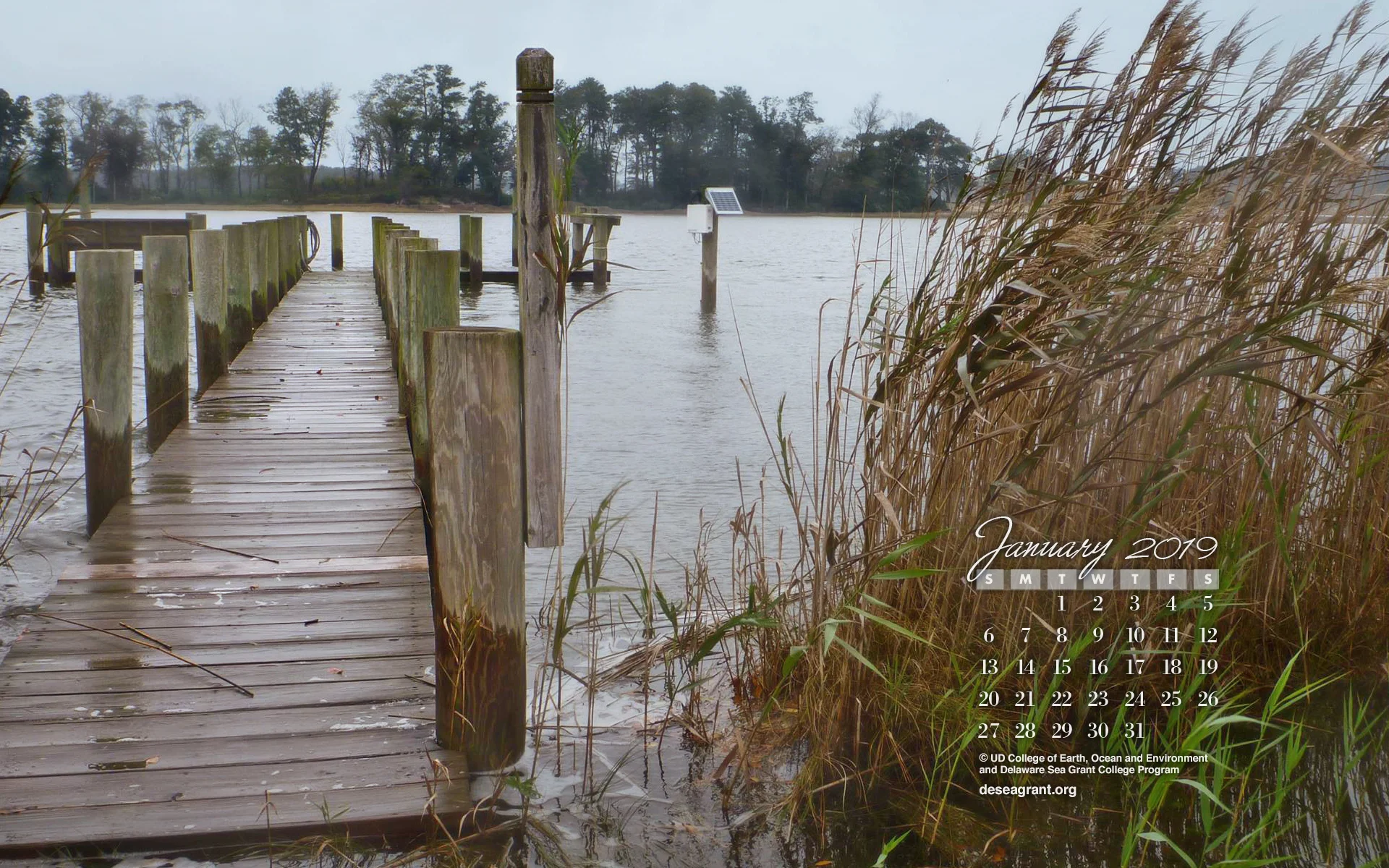 jan19_wallpaper1920.jpg