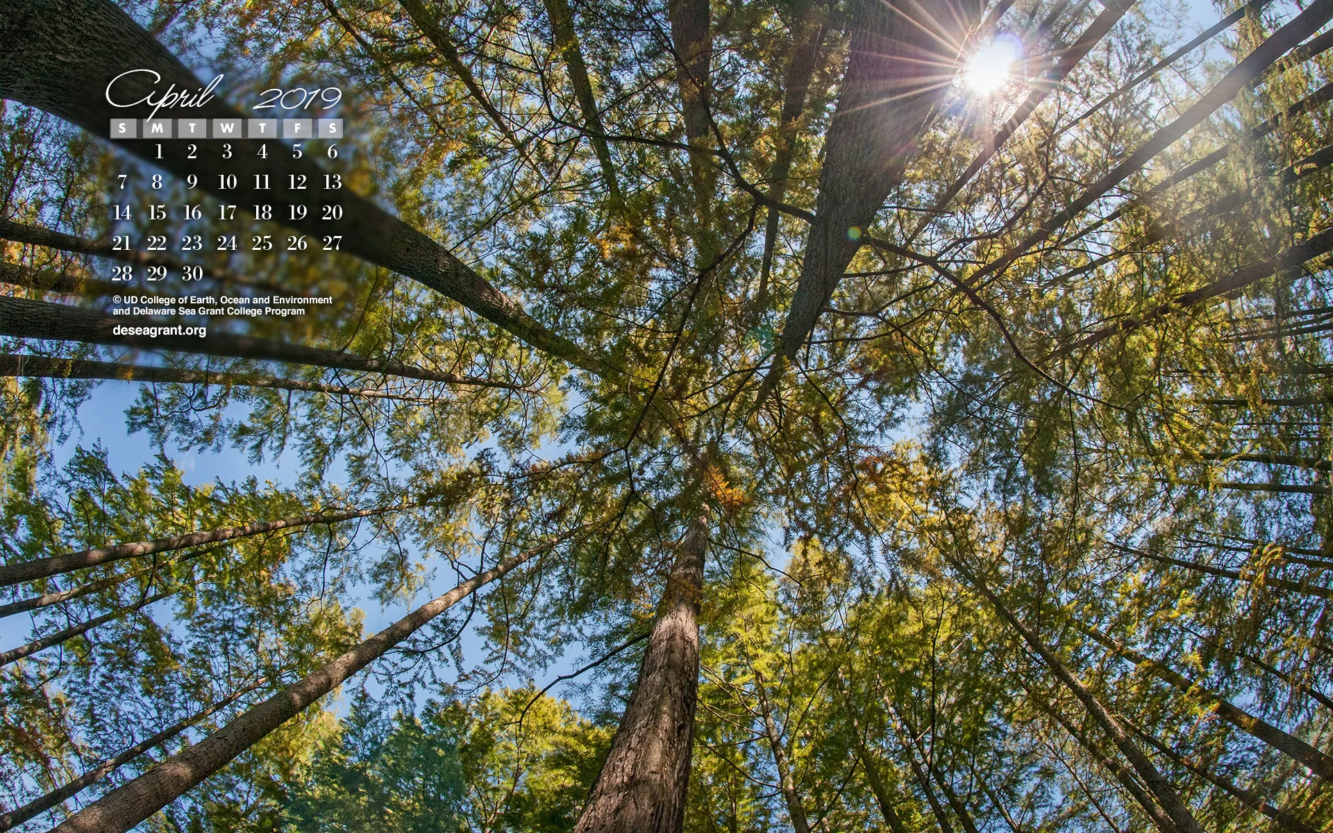 apr19_wallpaper1920.jpg