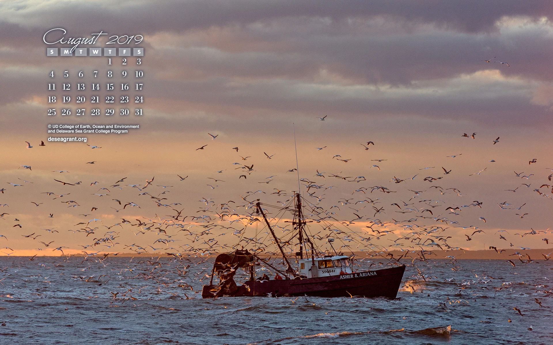 aug19_wallpaper1920.jpg