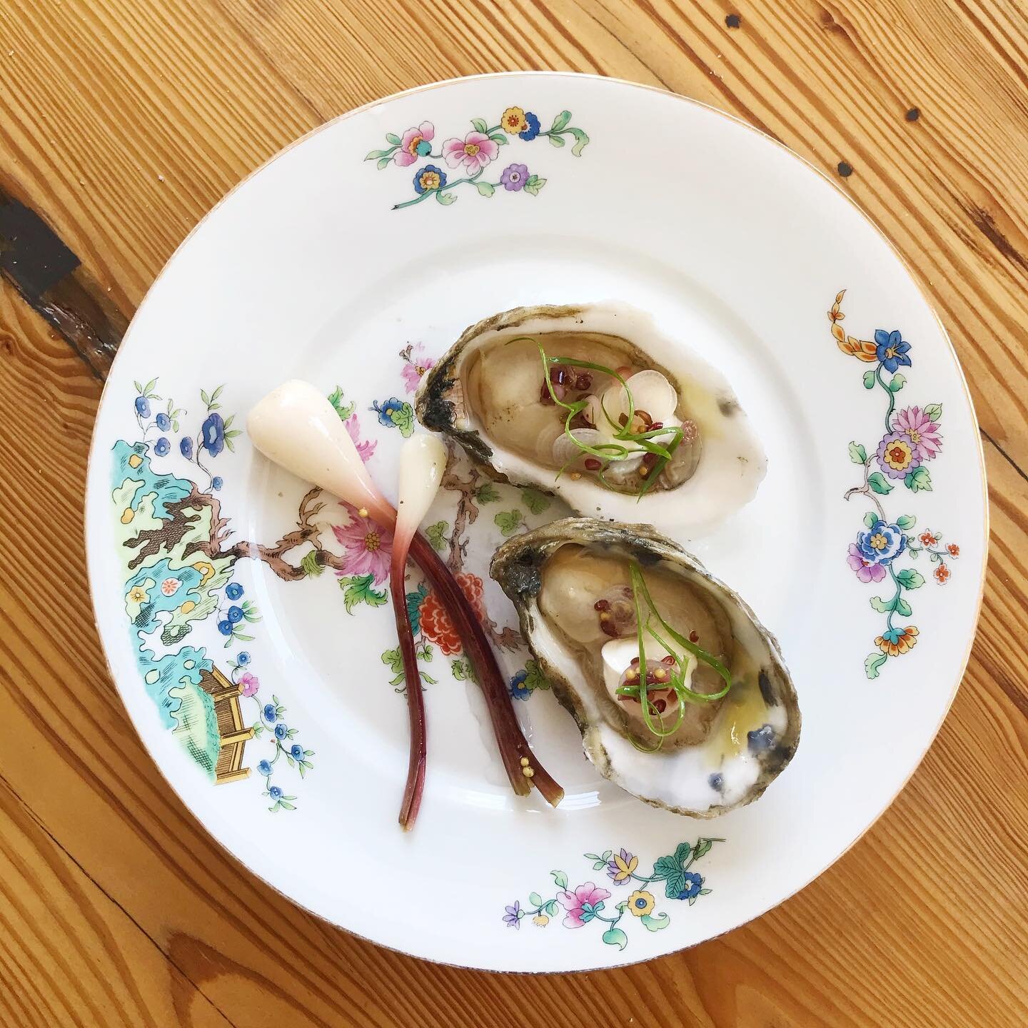 https://images.squarespace-cdn.com/content/v1/5a9eec779772aeecca58eb94/1590163344248-XD7D9WTFM8E4T2OTI0UA/Oysters+with+mignonette.jpg