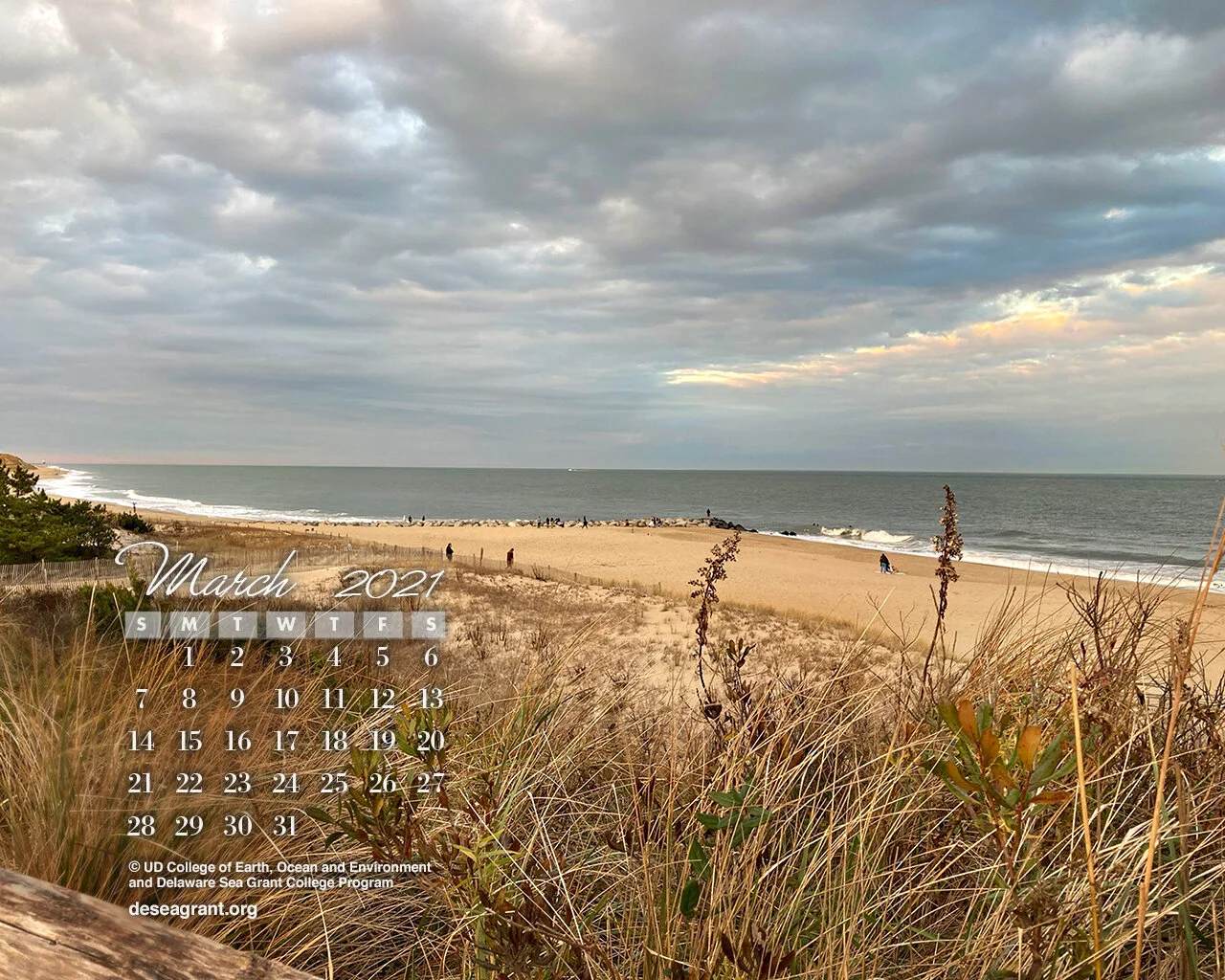 Photo by Michael O. Snyder