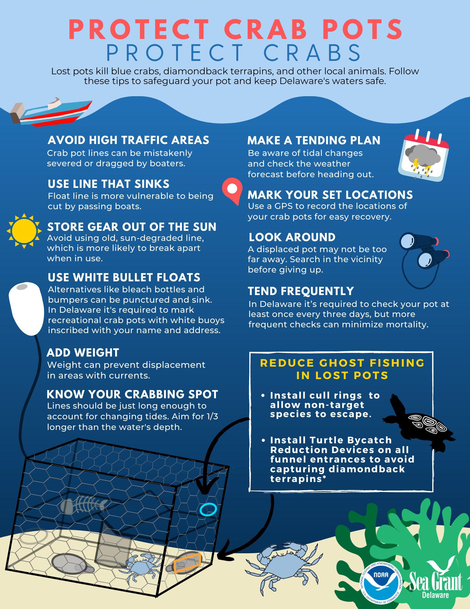 Click the thumbnail for a full-size verison