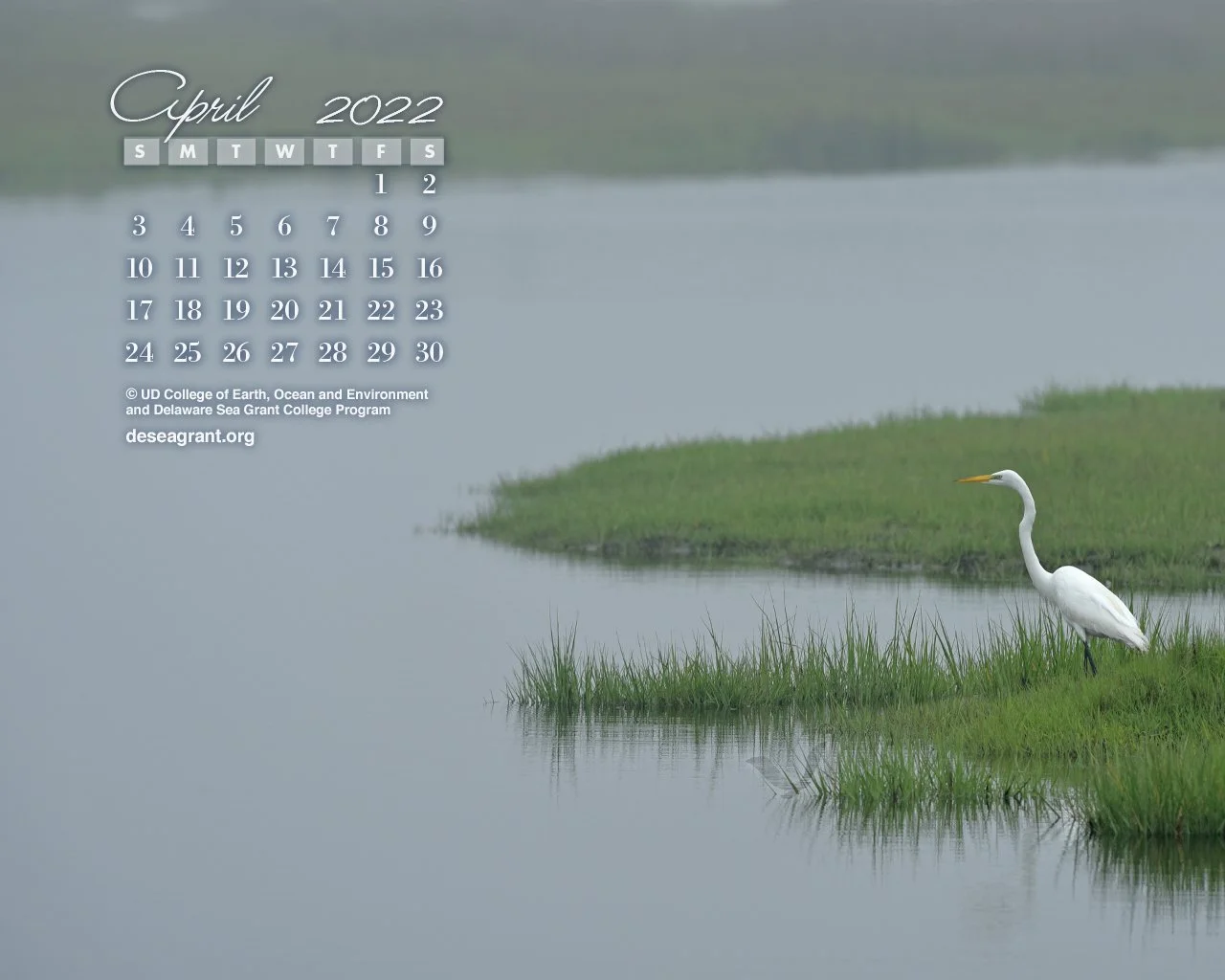 April 2022 — Carolina Bays